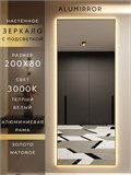 Зеркало настенное 200х80 см с подсветкой. Свет: Теплый белый 3000К. В алюминиевой раме интерьерное ALUMIRROR 200-240_200x80_BL_CTRL_нет_LIGHT_теплый