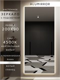 Зеркало настенное 200х90 см с подсветкой. Свет: Нейтральный белый 4500К. В алюминиевой раме интерьерное ALUMIRROR 200-240_200x90_BL_CTRL_нет_LIGHT_нейтральный