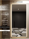 Зеркало настенное 200х90 см с подсветкой. Свет: Теплый белый 3000К. В алюминиевой раме интерьерное ALUMIRROR 200-240_200x90_BL_CTRL_нет_LIGHT_теплый