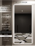 Зеркало настенное 200х90 см с подсветкой. Свет: Холодный белый 6000К. В алюминиевой раме интерьерное ALUMIRROR 200-240_200x90_BL_CTRL_нет_LIGHT_холодный