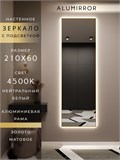Зеркало настенное 210х60 см с подсветкой. Свет: Нейтральный белый 4500К. В алюминиевой раме интерьерное ALUMIRROR 200-240_210x60_BL_CTRL_нет_LIGHT_нейтральный