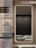 Зеркало настенное 220х100 см с подсветкой. Свет: Теплый белый 3000К. В алюминиевой раме интерьерное ALUMIRROR 200-240_220x100_BL_CTRL_нет_LIGHT_теплый