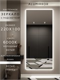 Зеркало настенное 220х100 см с подсветкой. Свет: Холодный белый 6000К. В алюминиевой раме интерьерное ALUMIRROR 200-240_220x100_BL_CTRL_нет_LIGHT_холодный