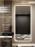 Зеркало настенное 230х100 см с подсветкой. Свет: Теплый белый 3000К. В алюминиевой раме интерьерное ALUMIRROR 200-240_230x100_BL_CTRL_нет_LIGHT_теплый