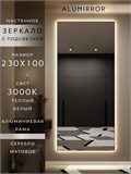 Зеркало настенное 230х100 см с подсветкой. Свет: Теплый белый 3000К. В алюминиевой раме интерьерное ALUMIRROR 200-240_230x100_BL_CTRL_нет_LIGHT_теплый