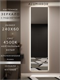 Зеркало настенное 240х60 см с подсветкой. Свет: Нейтральный белый 4500К. В алюминиевой раме интерьерное ALUMIRROR 200-240_240x60_BL_CTRL_нет_LIGHT_нейтральный