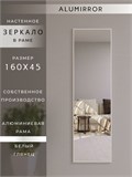 Зеркало настенное 160х45 см в алюминиевой раме интерьерное ALUMIRROR 2000_160x45_NOBL