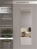 Зеркало настенное 160х50 см в алюминиевой раме интерьерное ALUMIRROR 2000_160x50_NOBL