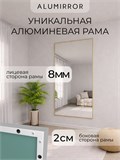 Зеркало настенное 190х60 см в алюминиевой раме интерьерное ALUMIRROR 2000_190x60_NOBL