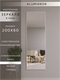 Зеркало настенное 200х60 см в алюминиевой раме интерьерное ALUMIRROR 2000_200x60_NOBL