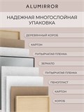 Зеркало настенное 200х60 см в алюминиевой раме интерьерное ALUMIRROR 2000_200x60_NOBL