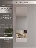 Зеркало настенное 200х70 см в алюминиевой раме интерьерное ALUMIRROR 2000_200x70_NOBL