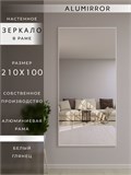 Зеркало настенное 210х100 см в алюминиевой раме интерьерное ALUMIRROR 2000_210x100_NOBL