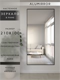 Зеркало настенное 210х100 см в алюминиевой раме интерьерное ALUMIRROR 2000_210x100_NOBL