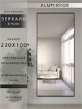 Зеркало настенное 220х100 см в алюминиевой раме интерьерное ALUMIRROR 2000_220x100_NOBL