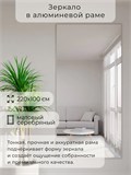 Зеркало настенное 220х100 см в алюминиевой раме интерьерное ALUMIRROR 2000_220x100_NOBL