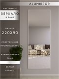 Зеркало настенное 220х90 см в алюминиевой раме интерьерное ALUMIRROR 2000_220x90_NOBL