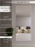 Зеркало настенное 230х100 см в алюминиевой раме интерьерное ALUMIRROR 2000_230x100_NOBL