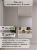 Зеркало настенное 230х100 см в алюминиевой раме интерьерное ALUMIRROR 2000_230x100_NOBL