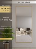 Зеркало настенное 230х100 см в алюминиевой раме интерьерное ALUMIRROR 2000_230x100_NOBL