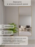 Зеркало настенное 230х100 см в алюминиевой раме интерьерное ALUMIRROR 2000_230x100_NOBL