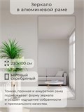 Зеркало настенное 230х100 см в алюминиевой раме интерьерное ALUMIRROR 2000_230x100_NOBL