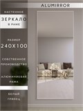 Зеркало настенное 240х100 см в алюминиевой раме интерьерное ALUMIRROR 2000_240x100_NOBL