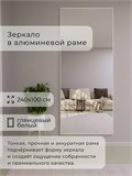Зеркало настенное 240х100 см в алюминиевой раме интерьерное ALUMIRROR 2000_240x100_NOBL
