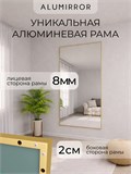 Зеркало настенное 240х100 см в алюминиевой раме интерьерное ALUMIRROR 2000_240x100_NOBL
