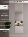 Зеркало настенное 240х60 см в алюминиевой раме интерьерное ALUMIRROR 2000_240x60_NOBL
