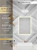 Зеркало в ванную 60х40 см с подсветкой. Свет: Холодный белый 6000К. В алюминиевой раме настенное ALUMIRROR 60-100_60x40_BL_CTRL_нет_LIGHT_холодный