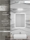 Зеркало в ванную 70х40 см с подсветкой. Свет: Холодный белый 6000К. В алюминиевой раме настенное ALUMIRROR 60-100_70x40_BL_CTRL_нет_LIGHT_холодный
