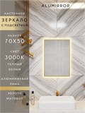 Зеркало в ванную 70х50 см с подсветкой. Свет: Теплый белый 3000К. В алюминиевой раме настенное ALUMIRROR 60-100_70x50_BL_CTRL_нет_LIGHT_теплый