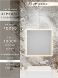 Зеркало в ванную 70х60 см с подсветкой. Свет: Теплый белый 3000К. В алюминиевой раме настенное ALUMIRROR 60-100_70x60_BL_CTRL_нет_LIGHT_теплый