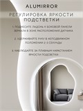 Зеркало настенное 100х80 см. холодный свет 6000К фигурное с подсветкой М1 ALUMIRROR М1_100x80_BL_CTRL_бесконтактный_сенсор_LIGHT_холодный