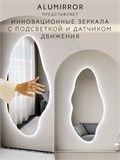 Зеркало настенное 173х77 см. холодный свет 6000К фигурное с подсветкой М4 ALUMIRROR М4_173x77_BL_CTRL_бесконтактный_сенсор_LIGHT_холодный