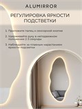 Зеркало настенное 198х88 см. сенсорное фигурное с подсветкой М4 ALUMIRROR М4_198x88_BL_CTRL_сенсор_LIGHT_TUNABLE