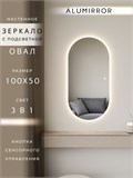 Зеркало настенное 100х50 см. сенсорное овальное с подсветкой М6 ALUMIRROR М6_100x50_BL_CTRL_сенсор_LIGHT_TUNABLE
