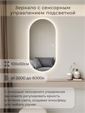 Зеркало настенное 100х50 см. сенсорное овальное с подсветкой М6 ALUMIRROR М6_100x50_BL_CTRL_сенсор_LIGHT_TUNABLE