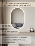 Зеркало настенное 100х60 см. сенсорное овальное с подсветкой М6 ALUMIRROR М6_100x60_BL_CTRL_сенсор_LIGHT_TUNABLE