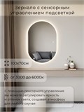 Зеркало настенное 100х70 см. сенсорное овальное с подсветкой М6 ALUMIRROR М6_100x70_BL_CTRL_сенсор_LIGHT_TUNABLE