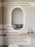 Зеркало настенное 110х60 см. сенсорное овальное с подсветкой М6 ALUMIRROR М6_110x60_BL_CTRL_сенсор_LIGHT_TUNABLE