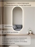 Зеркало настенное 120х50 см. сенсорное овальное с подсветкой М6 ALUMIRROR М6_120x50_BL_CTRL_сенсор_LIGHT_TUNABLE