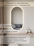 Зеркало настенное 120х60 см. сенсорное овальное с подсветкой М6 ALUMIRROR М6_120x60_BL_CTRL_сенсор_LIGHT_TUNABLE