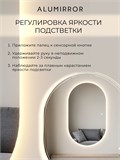 Зеркало настенное 140х60 см. сенсорное овальное с подсветкой М6 ALUMIRROR М6_140x60_BL_CTRL_сенсор_LIGHT_TUNABLE