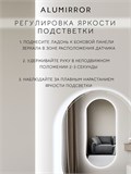 Зеркало настенное 140х70 см. холодный свет 6000К овальное с подсветкой М6 ALUMIRROR М6_140x70_BL_CTRL_бесконтактный_сенсор_LIGHT_холодный