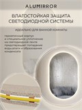 Зеркало настенное 160х60 см. сенсорное овальное с подсветкой М6 ALUMIRROR М6_160x60_BL_CTRL_сенсор_LIGHT_TUNABLE