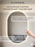 Зеркало настенное 160х70 см. сенсорное овальное с подсветкой М6 ALUMIRROR М6_160x70_BL_CTRL_сенсор_LIGHT_TUNABLE