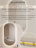 Зеркало настенное 170х70 см. теплый свет 3000К овальное с подсветкой М6 ALUMIRROR М6_170x70_BL_CTRL_бесконтактный_сенсор_LIGHT_теплый