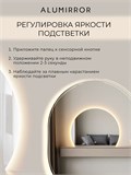 Зеркало настенное 100х75 сенсорное фигурное с подсветкой М9 ALUMIRROR М9_100x75_BL_CTRL_бесконтактный_сенсор_LIGHT_TUNABLE